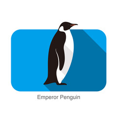 Emperor Penguin standing on the ground, Penguin seed series