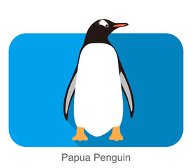 Obraz premium Papua penguin, Gentoo penguin, standing, vector illustration