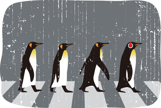 King Penguin walking, Penguin seed series, vector illustration