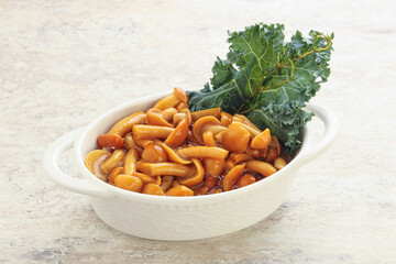 Wild pickled honey mushroom in the bowl