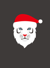 Portrait of tiger, wearing Christmas hat, like Santa Claus, cool style
