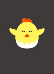 Portrait of chick, The chicks were born from the eggshell, cool style