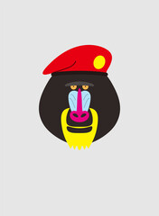 Portrait of mandrill, wearing beret, like soldier, cool style