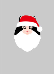 Portrait of cat, wearing Christmas cap, like Santa Claus, cool style