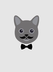 Portrait of cat, wearing scarf, like a man, cool style, cosplay