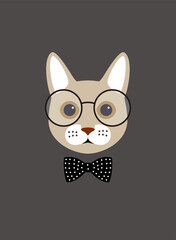 Obraz premium Portrait of cat, wearing glasses, like a scholar, cool style