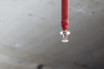 Close-up fire sprinkler on the ceiling for fire detection and alarm system equipment in building safety security protect and prevent or prevention when heat or flame detector is alert.