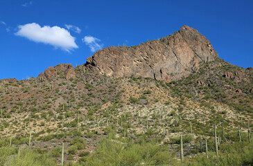 Picacho Peak State Park, Arizona