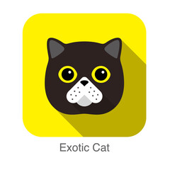 Exotic cat face flat icon design, vector illustration