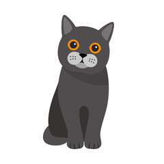 Exotic cat standing, flat icon design, vector illustration