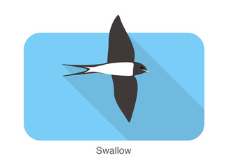 Swallow flat icon design, cartoon, vector illustration