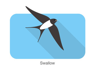 Swallow flat icon design, cartoon, vector illustration