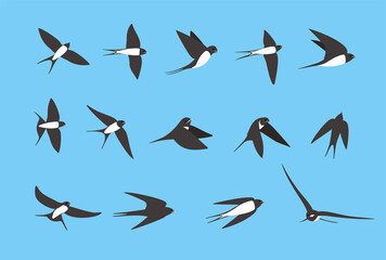 Swallow flying flat icons set, vector illustration