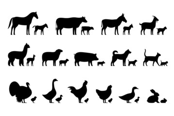 Fototapeta premium Livestock, Farm animals and their kids, black icons set, vector illustration