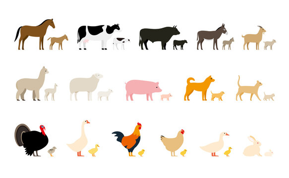 Livestock, Farm animals and their kids, black icons set, vector illustration
