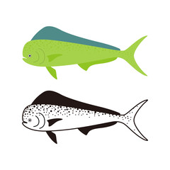 Common Dolphinfish, Dorado fish, vector illustration