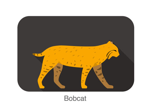 recommend clip art: Big bobcat walking side flat 3D icon design