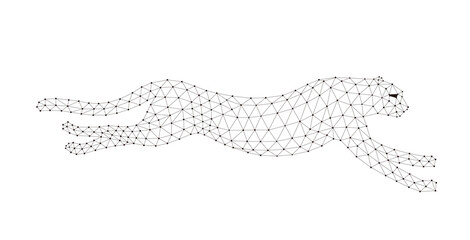 Cheetah is running, triangle mesh, vector illustration © hakule