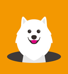 cute Pomeranian dog on the hole, watching, vector illustration