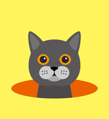 cute cat on the hole, watching, vector illustration