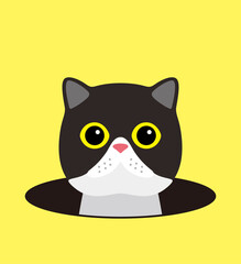 cute cat on the hole, watching, vector illustration
