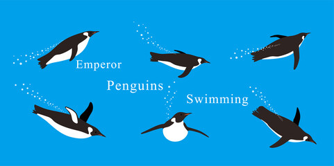 Many Emperor Penguins swimming in the sea with various postures.