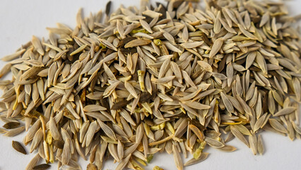 seeds of different varieties for home gardening, many varieties of seeds close-up, macro, selective focus