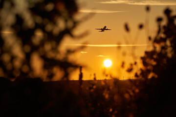 Vacation plane takes off in the evening against the light. Air vehicle over the airport, in the orange sky against the setting sun. Plants in the foreground. Bokeh. Germany, Stuttgart.