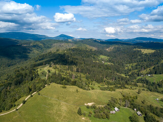 Obraz premium Green mountains of Ukrainian Carpathians in summer. Coniferous trees on the slopes. Aerial drone view.