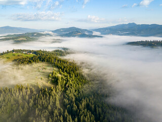 Fog envelops the mountain forest. The rays of the rising sun break through the fog. Aerial drone view.