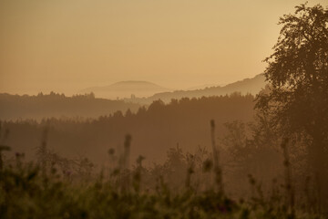 morning mist in the mountains