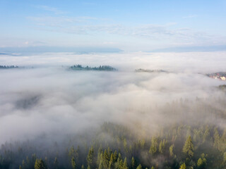 Morning fog in the Ukrainian Carpathians. Aerial drone view.