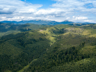 Naklejka premium Green mountains of Ukrainian Carpathians in summer. Coniferous trees on the slopes. Aerial drone view.