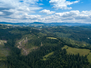 Fototapeta premium Green mountains of Ukrainian Carpathians in summer. Coniferous trees on the slopes. Aerial drone view.
