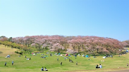 group of people walking in the park