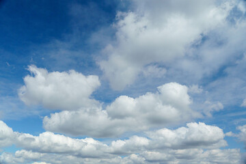 Naklejka na ściany i meble 青空にフワフワとした白い雲