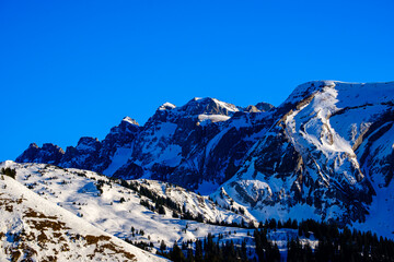 Les dents blanches de Morzine