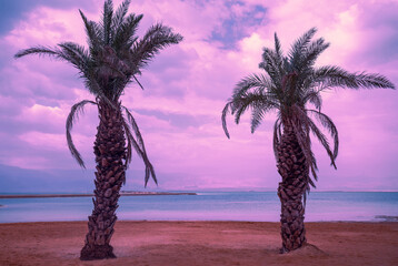 Plage tropicale avec palmiers sur fond de coucher de soleil. Plage de la Mer Morte à Ein Bokek en Israël