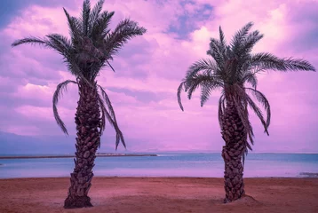 Foto auf Acrylglas Candy Pink Tropischer Strand mit Palmen bei Sonnenuntergang. Strand des Toten Meeres in Ein Bokek in Israel