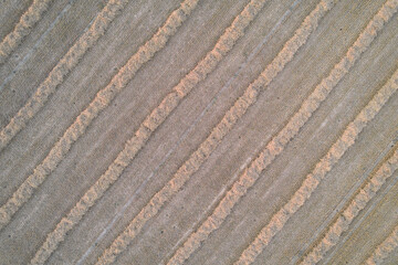 Stubble field from above with straw rows. Pattern in agriculture. Top view. Diagonally lines.