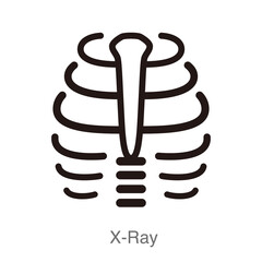 Human organ rib cage flat icon, x-ray vector illustration