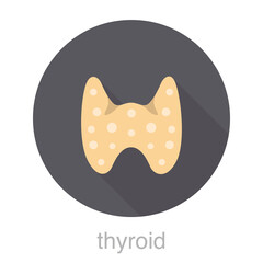 human organ thyroid flat design icon, vector illustration