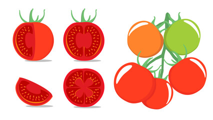 Illustration of vectors of red and green tomatoes. Cut the tomatoes, complete tomato slices, leaves, flowers and tomato seeds. tomatoes are ripe and immature. Set cartoon vegetable elements isolated.