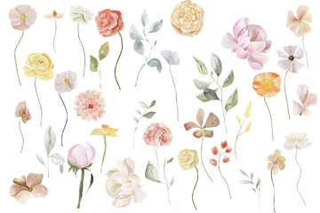 Set of garden flowers, watercolor floral collection, roses, peony, eucalyptus, dahlias 