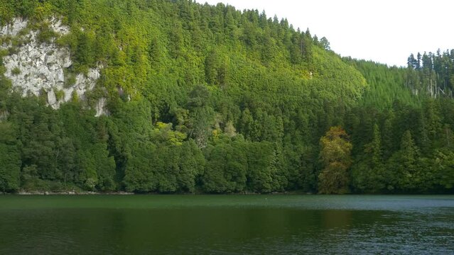 Rural Azores.  Along the banks of the Lagoon Congro with trees