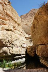 Streams and waterfalls Nature Reserve Ein Gedi at the Dead Sea in Israel