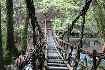 祖谷のかずら橋, かずら橋, 祖谷, 国指定重要有形民俗文化財, 徳島, 平家, 絶景, 橋, スリル, 怖い, 綱, 四国, 風景, 徳島県, 自然, 吊り橋, 秘境, 青空, 観光地, 日本, 人物, 祖谷川, 剣山国定公園, 屋外, 三好市, 恐怖, 平清盛, つり橋, アスレチック, 遊び, 河川, 川, 危険, 観光, 大歩危, 大歩危峡, 男の子, 山, 案内, 高知, 緑, 渓流, 
