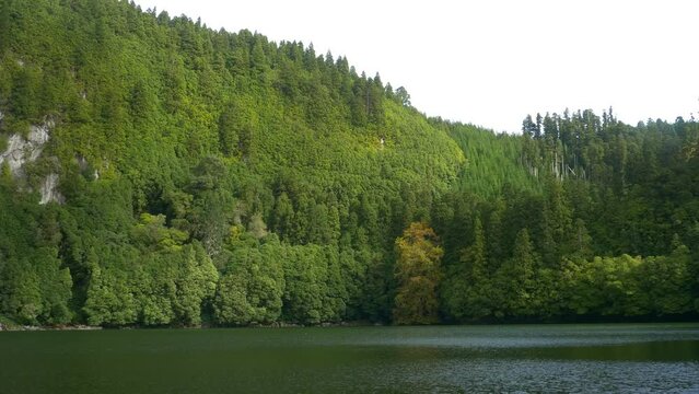 Rural Azores.  Along the banks of the Lagoon Congro with trees