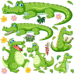 Cute animals set on white background