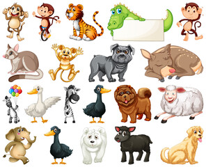 Set of animal cartoon character